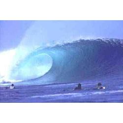 surf